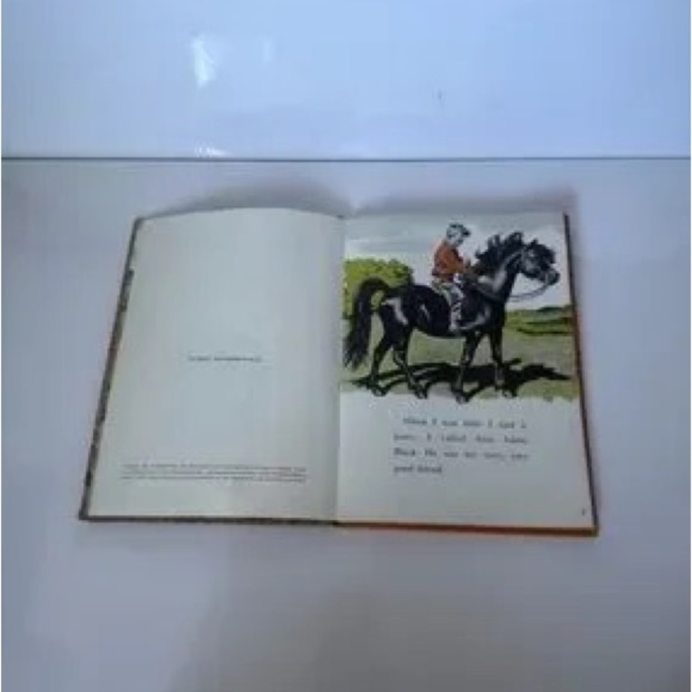 Vintage Black Horse Illustration Book - Black